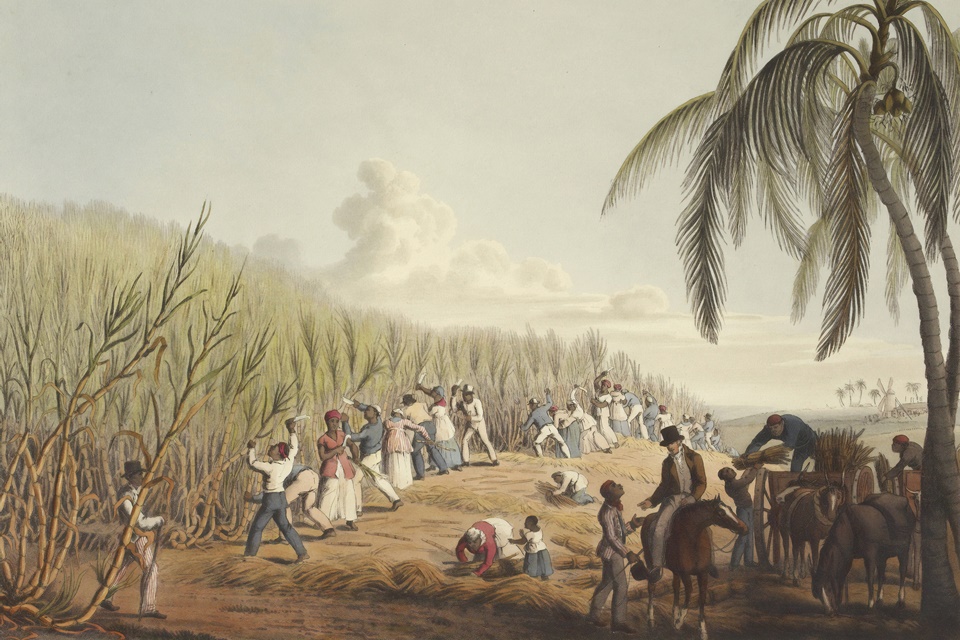escravidão brasileira revolta da chibata